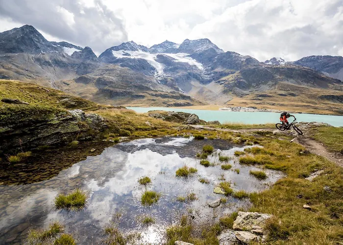 By Randolins St. Moritz